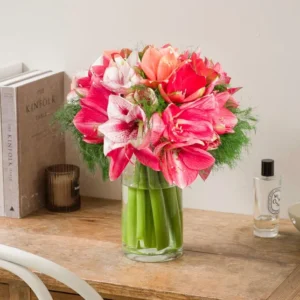 Armful of amaryllis