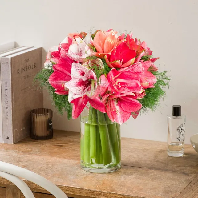 Armful of amaryllis