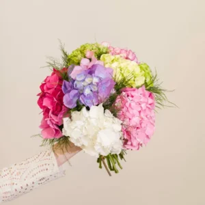 Armful of Hydrangeas